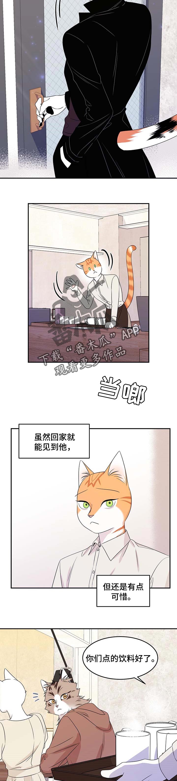 《灵猫欧米伽》漫画最新章节第24章：可惜免费下拉式在线观看章节第【3】张图片