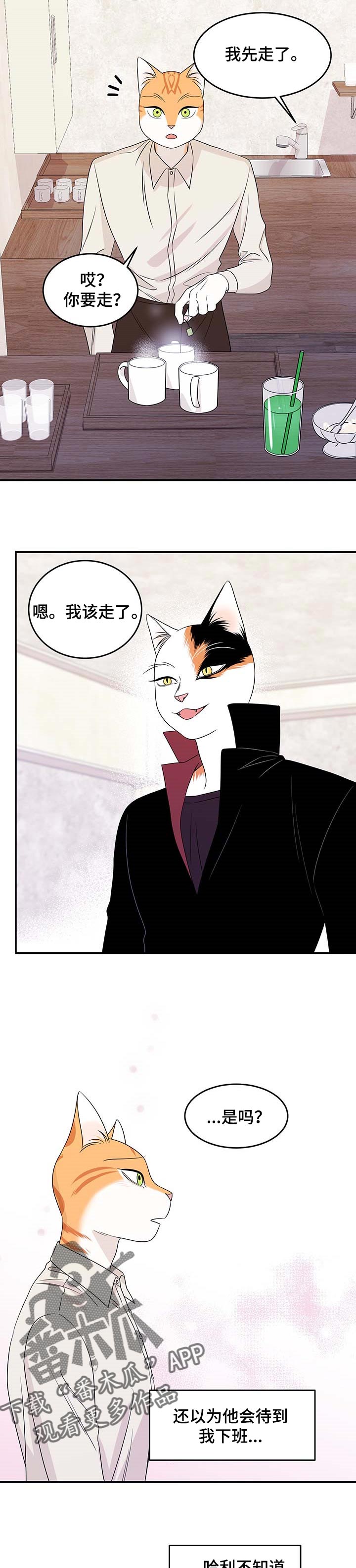 《灵猫欧米伽》漫画最新章节第24章：可惜免费下拉式在线观看章节第【6】张图片