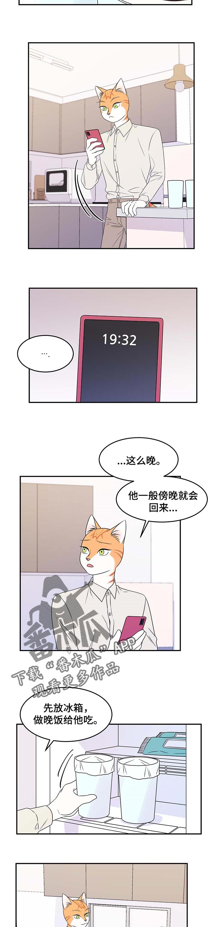 《灵猫欧米伽》漫画最新章节第25章：珍贵免费下拉式在线观看章节第【2】张图片