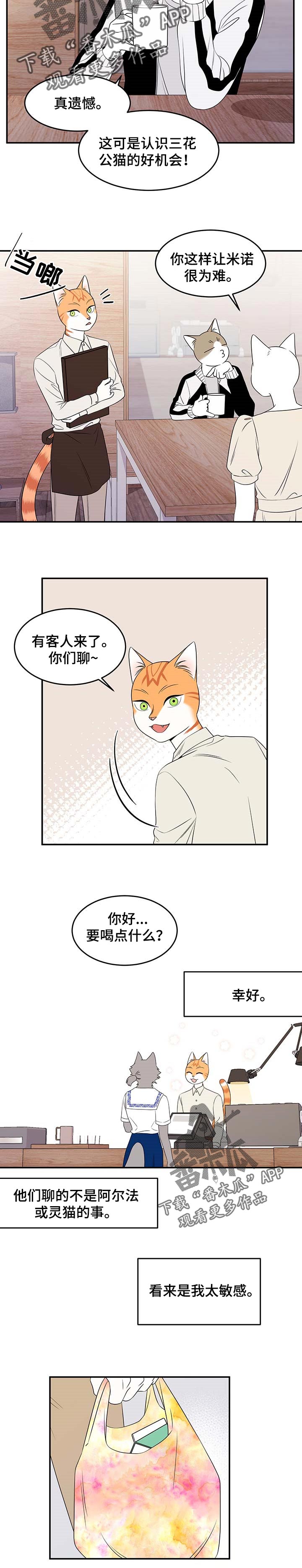 灵猫欧米伽-第25章：珍贵全彩韩漫标签