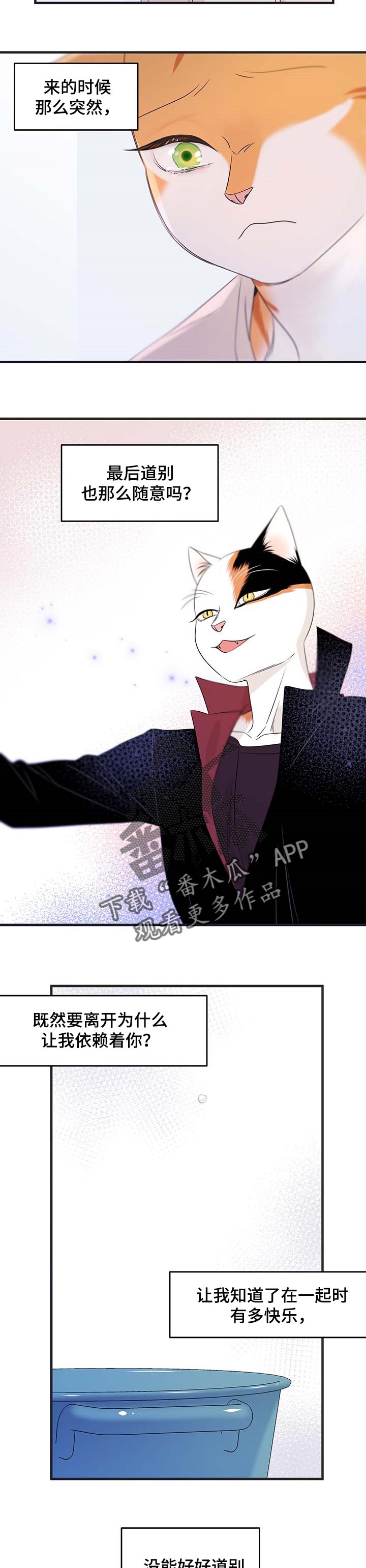 《灵猫欧米伽》漫画最新章节第26章：心痛免费下拉式在线观看章节第【4】张图片