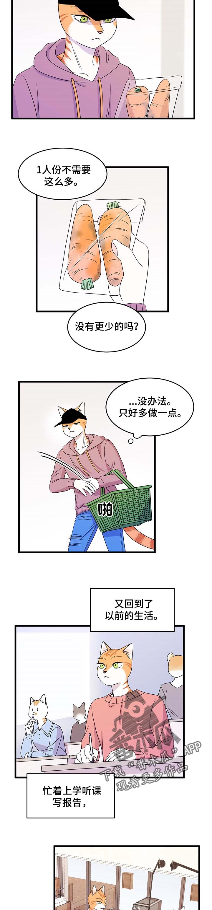 《灵猫欧米伽》漫画最新章节第26章：心痛免费下拉式在线观看章节第【2】张图片