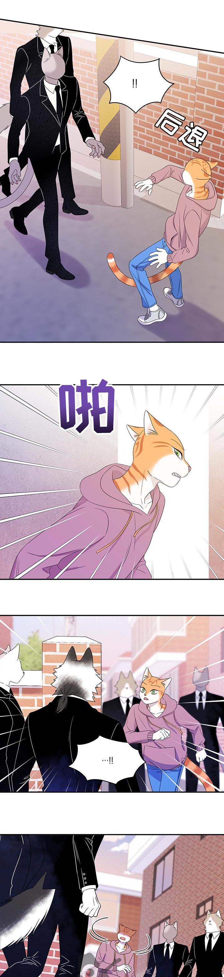 《灵猫欧米伽》漫画最新章节第27章：绑架免费下拉式在线观看章节第【5】张图片