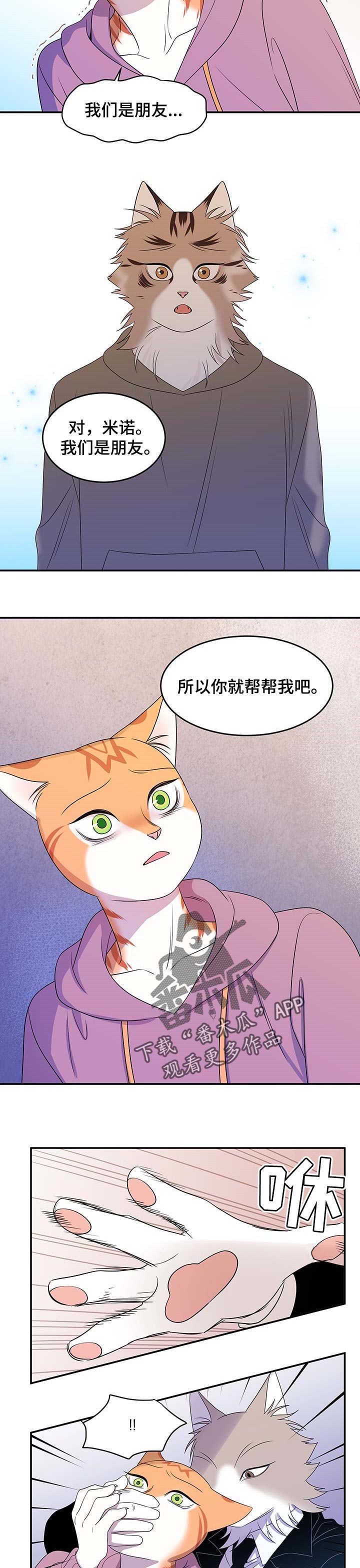 《灵猫欧米伽》漫画最新章节第27章：绑架免费下拉式在线观看章节第【3】张图片