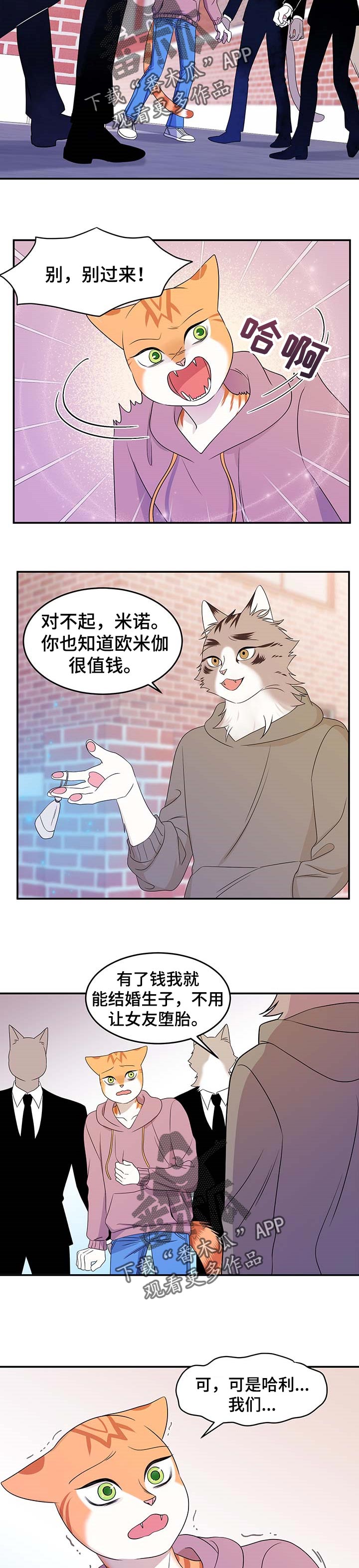 《灵猫欧米伽》漫画最新章节第27章：绑架免费下拉式在线观看章节第【4】张图片