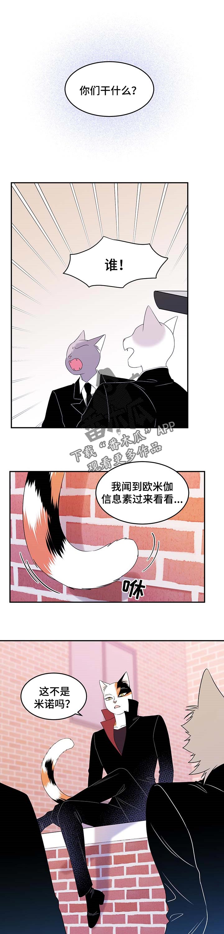 《灵猫欧米伽》漫画最新章节第28章：奇特免费下拉式在线观看章节第【8】张图片