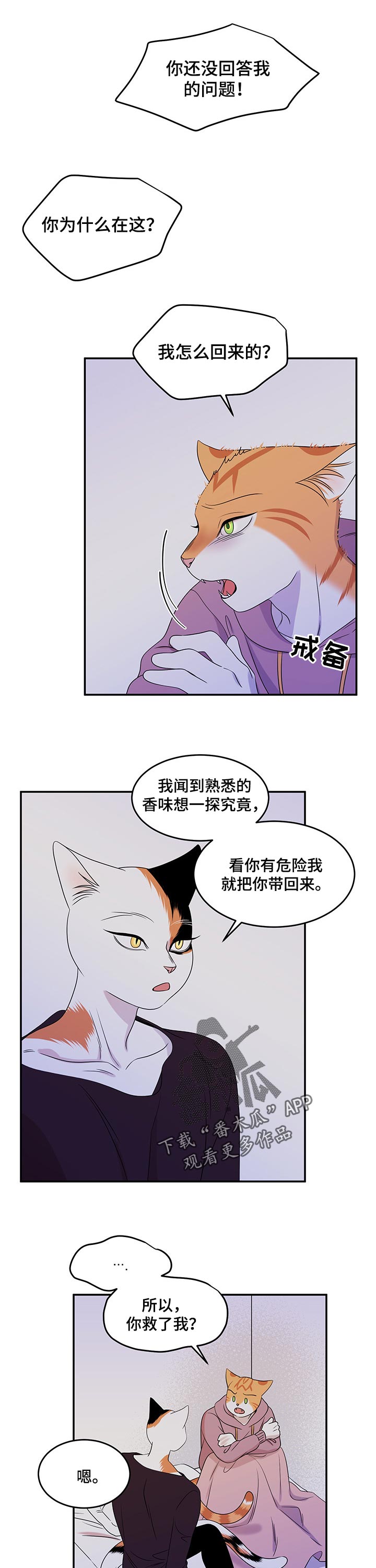 《灵猫欧米伽》漫画最新章节第30章：你到底是谁免费下拉式在线观看章节第【3】张图片