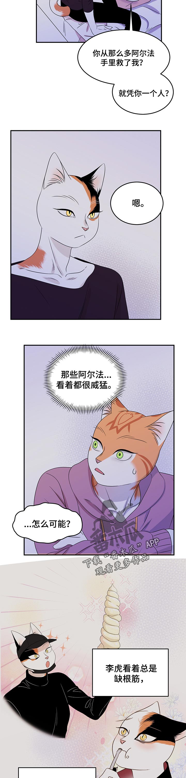 《灵猫欧米伽》漫画最新章节第30章：你到底是谁免费下拉式在线观看章节第【2】张图片