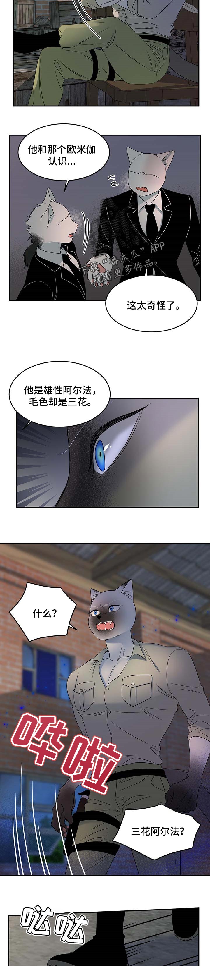 《灵猫欧米伽》漫画最新章节第31章：叫他出来免费下拉式在线观看章节第【5】张图片