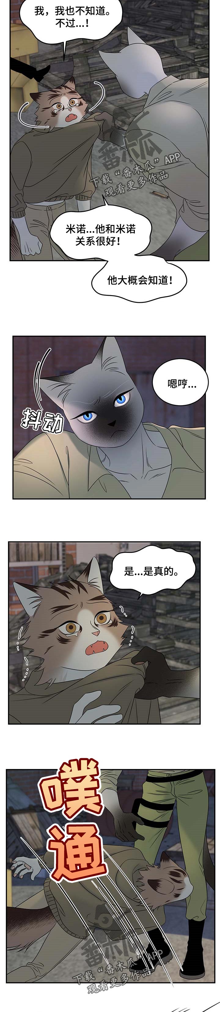 《灵猫欧米伽》漫画最新章节第31章：叫他出来免费下拉式在线观看章节第【3】张图片