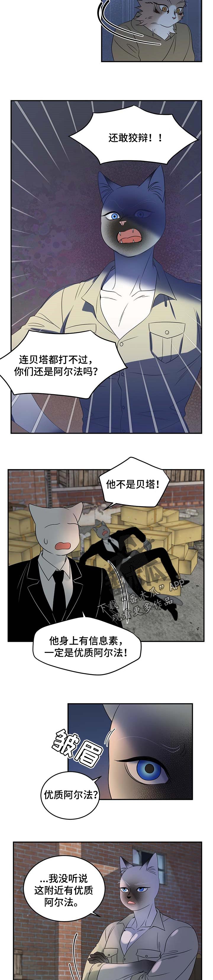 《灵猫欧米伽》漫画最新章节第31章：叫他出来免费下拉式在线观看章节第【6】张图片