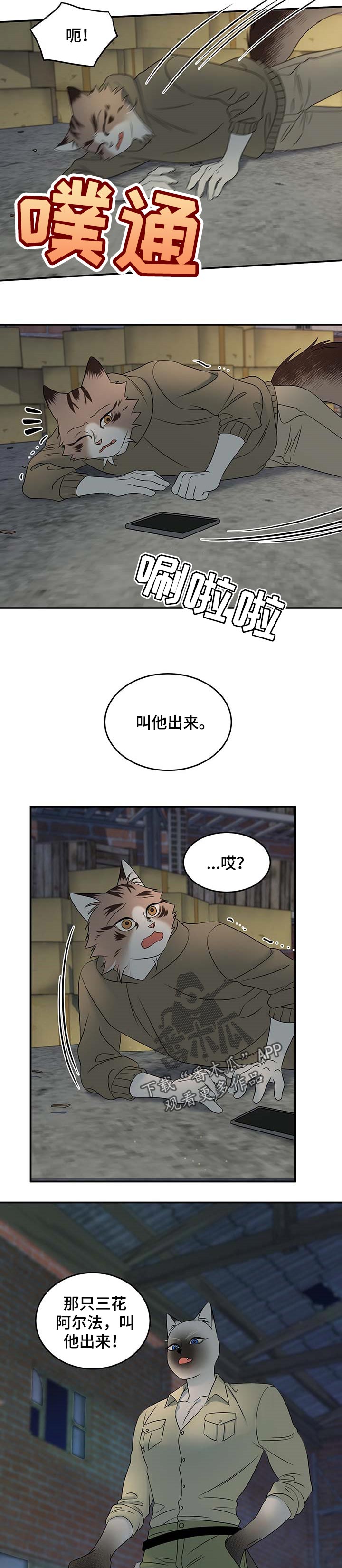 《灵猫欧米伽》漫画最新章节第31章：叫他出来免费下拉式在线观看章节第【2】张图片