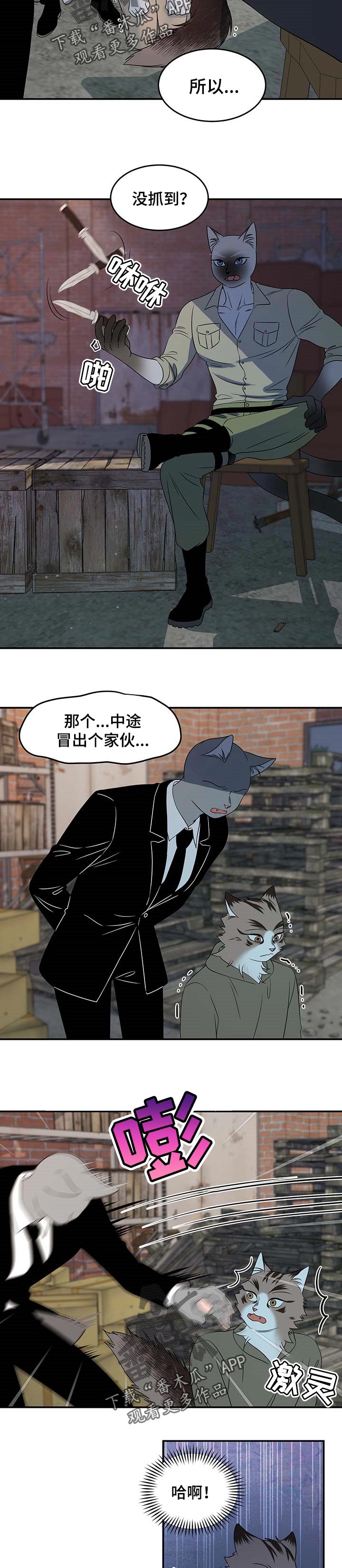 《灵猫欧米伽》漫画最新章节第31章：叫他出来免费下拉式在线观看章节第【7】张图片