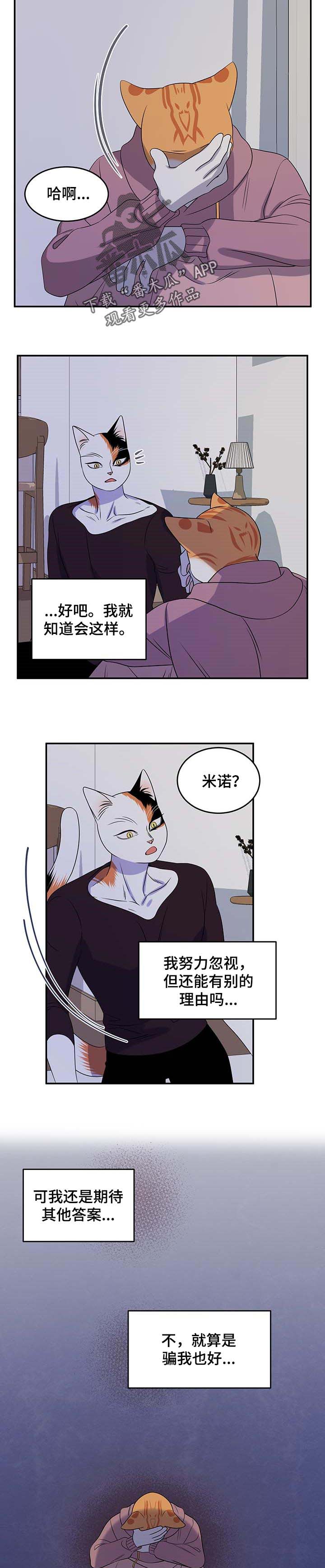 《灵猫欧米伽》漫画最新章节第32章：不想见到你免费下拉式在线观看章节第【4】张图片