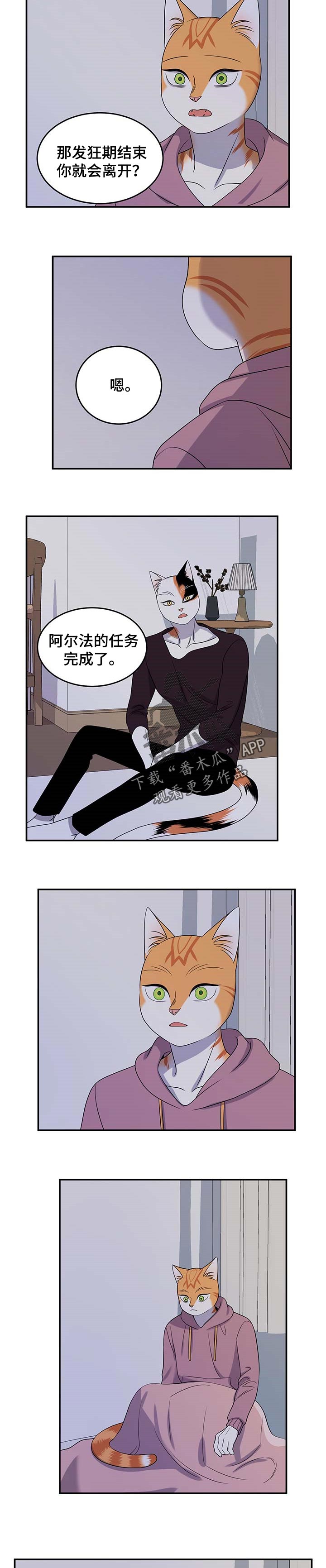 《灵猫欧米伽》漫画最新章节第32章：不想见到你免费下拉式在线观看章节第【5】张图片