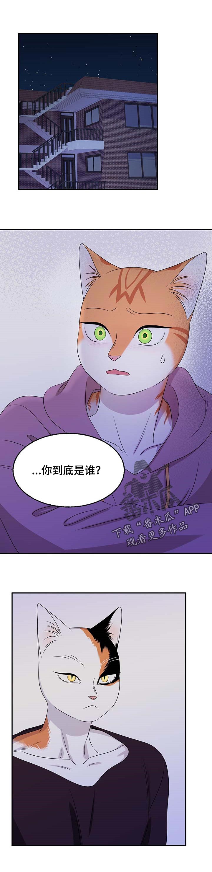 《灵猫欧米伽》漫画最新章节第32章：不想见到你免费下拉式在线观看章节第【9】张图片