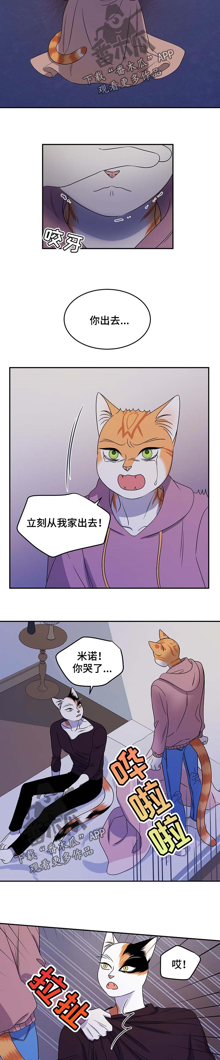 《灵猫欧米伽》漫画最新章节第32章：不想见到你免费下拉式在线观看章节第【3】张图片