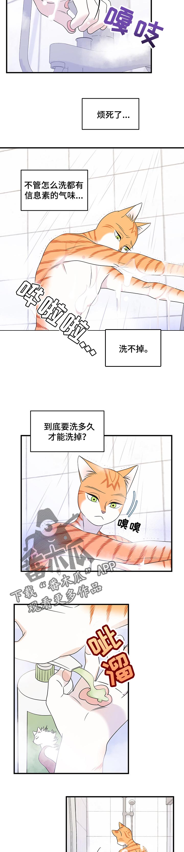 《灵猫欧米伽》漫画最新章节第33章：因果报应免费下拉式在线观看章节第【2】张图片