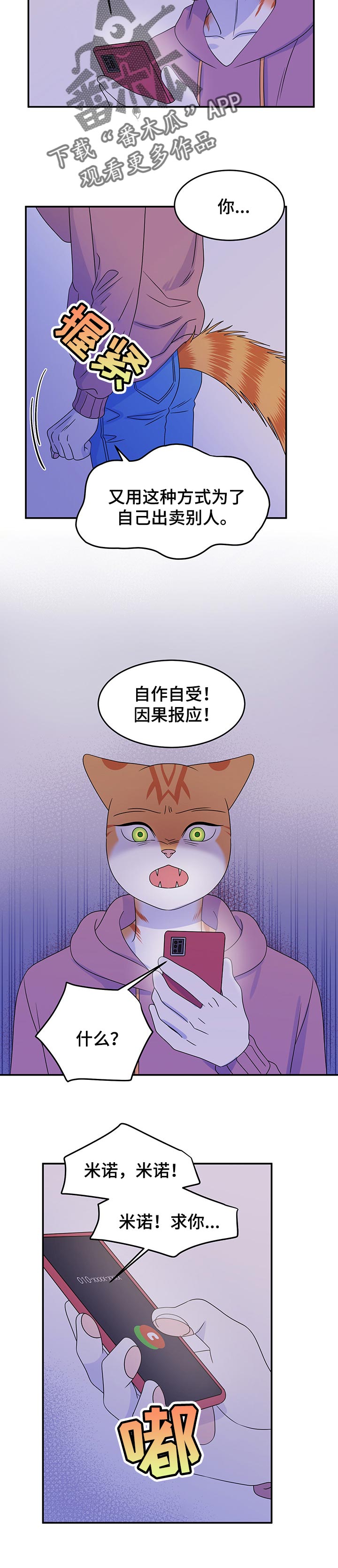 《灵猫欧米伽》漫画最新章节第33章：因果报应免费下拉式在线观看章节第【4】张图片