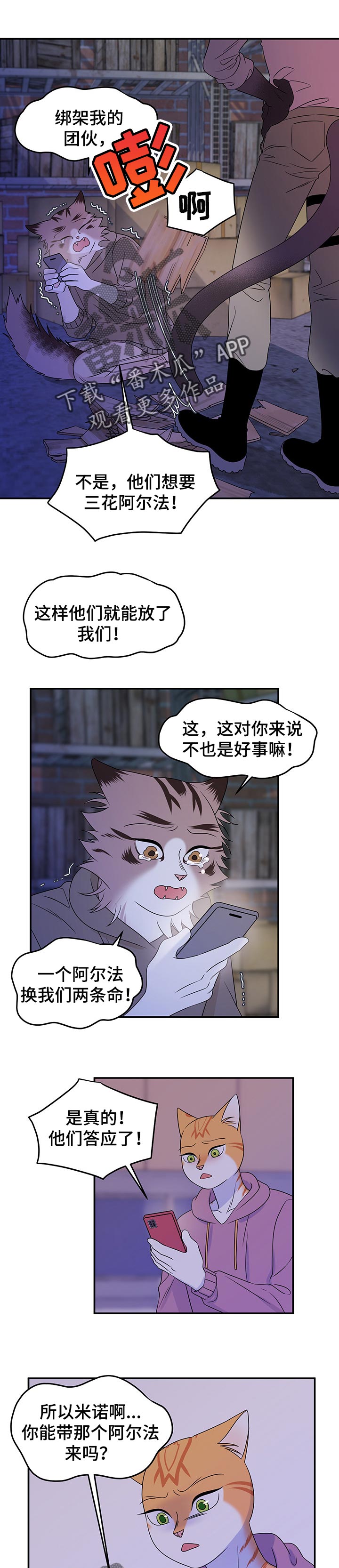 《灵猫欧米伽》漫画最新章节第33章：因果报应免费下拉式在线观看章节第【5】张图片