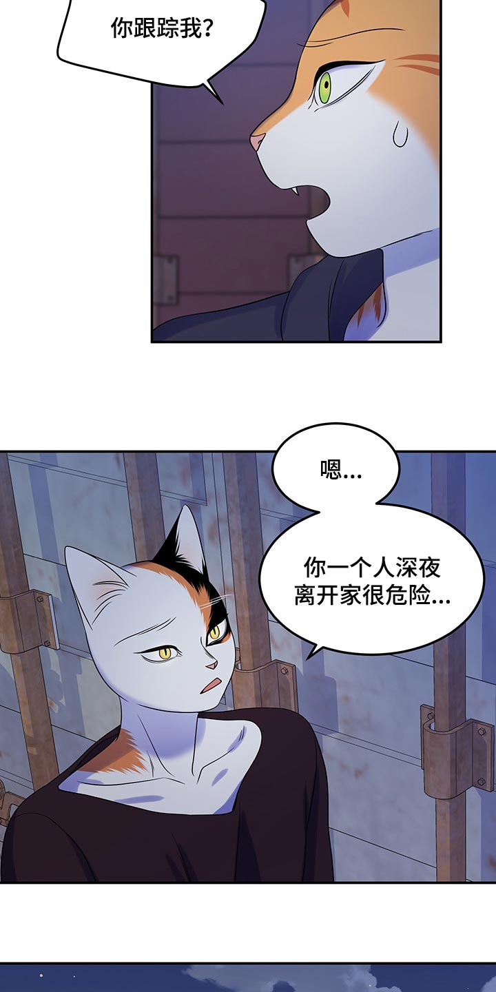 《灵猫欧米伽》漫画最新章节第35章：一个人很危险免费下拉式在线观看章节第【7】张图片