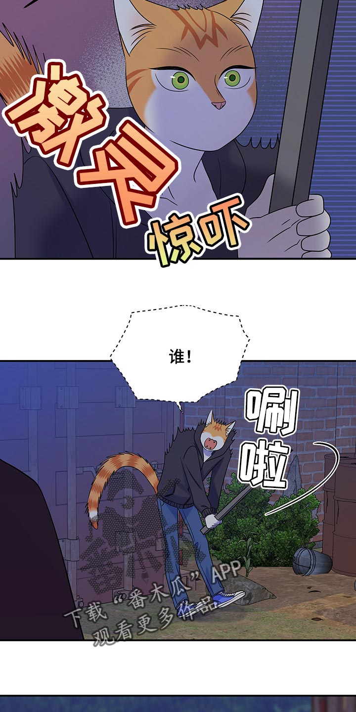 《灵猫欧米伽》漫画最新章节第35章：一个人很危险免费下拉式在线观看章节第【10】张图片