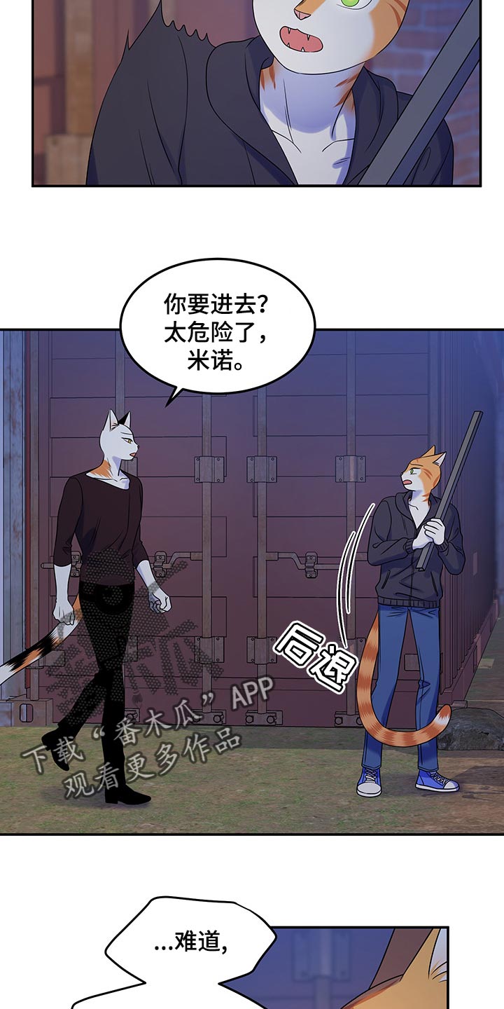 《灵猫欧米伽》漫画最新章节第35章：一个人很危险免费下拉式在线观看章节第【8】张图片