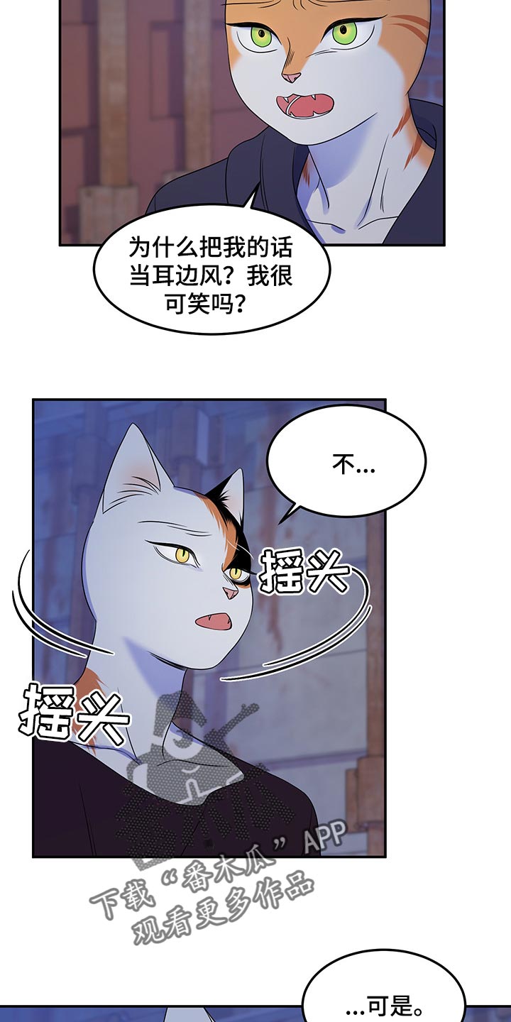 《灵猫欧米伽》漫画最新章节第35章：一个人很危险免费下拉式在线观看章节第【5】张图片