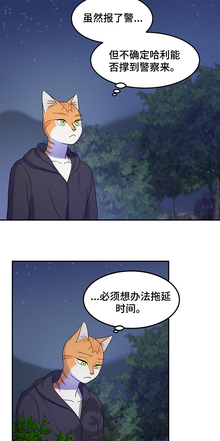 《灵猫欧米伽》漫画最新章节第35章：一个人很危险免费下拉式在线观看章节第【16】张图片