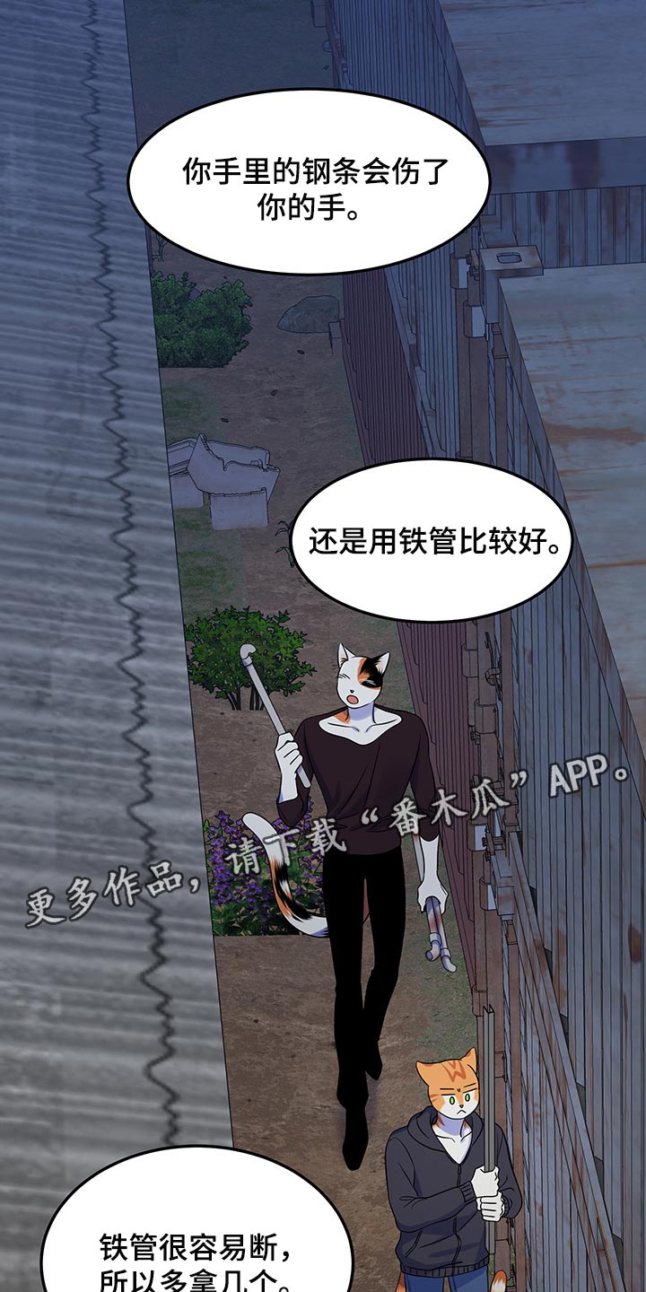 《灵猫欧米伽》漫画最新章节第35章：一个人很危险免费下拉式在线观看章节第【2】张图片