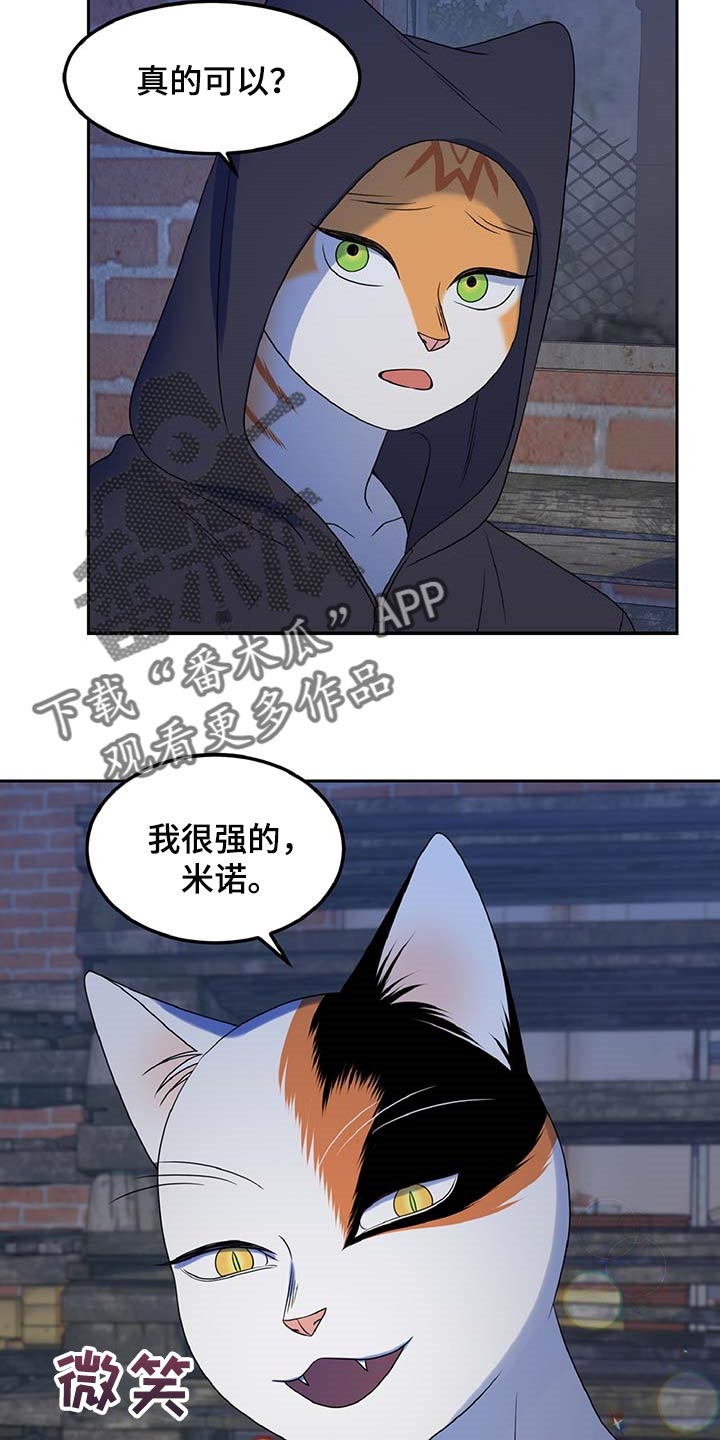 《灵猫欧米伽》漫画最新章节第37章：我很强的免费下拉式在线观看章节第【7】张图片