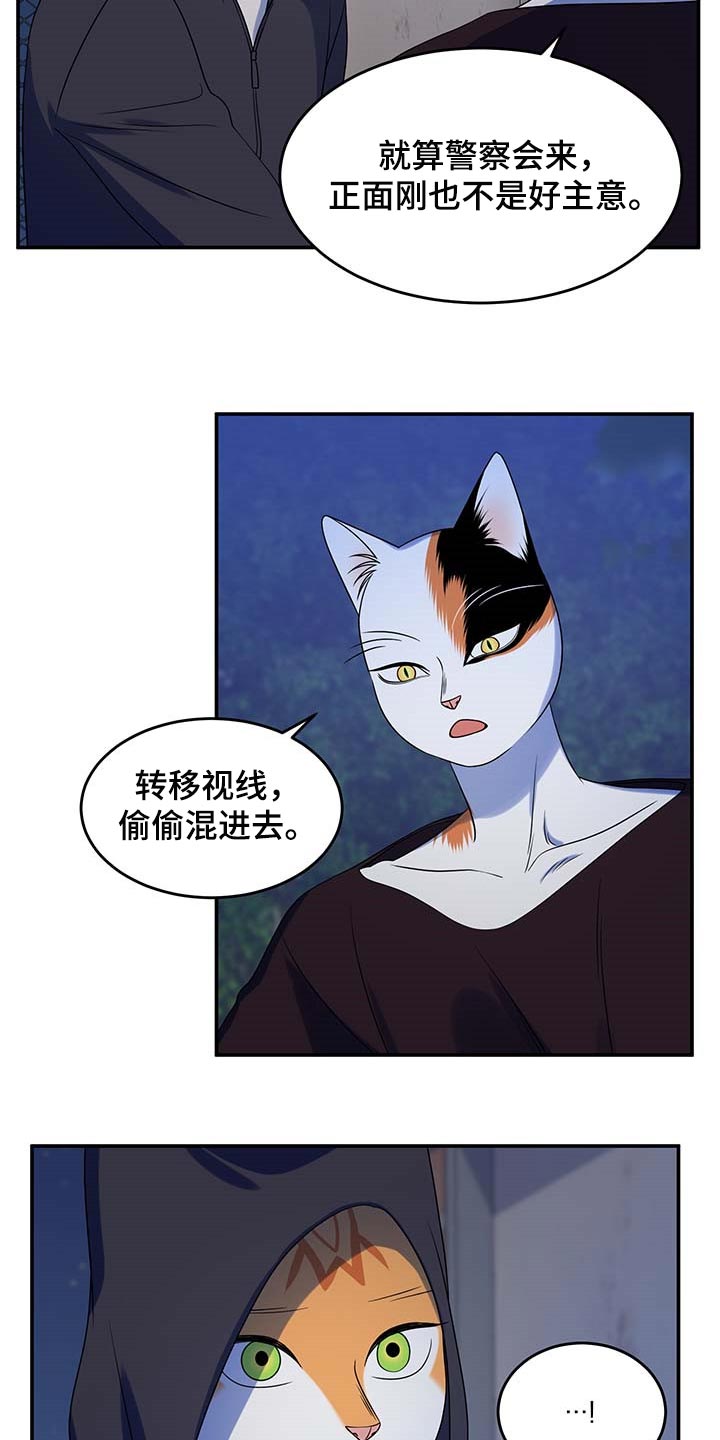 《灵猫欧米伽》漫画最新章节第37章：我很强的免费下拉式在线观看章节第【18】张图片