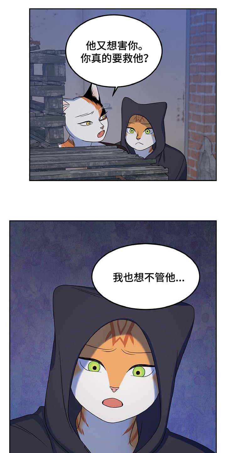 《灵猫欧米伽》漫画最新章节第37章：我很强的免费下拉式在线观看章节第【11】张图片