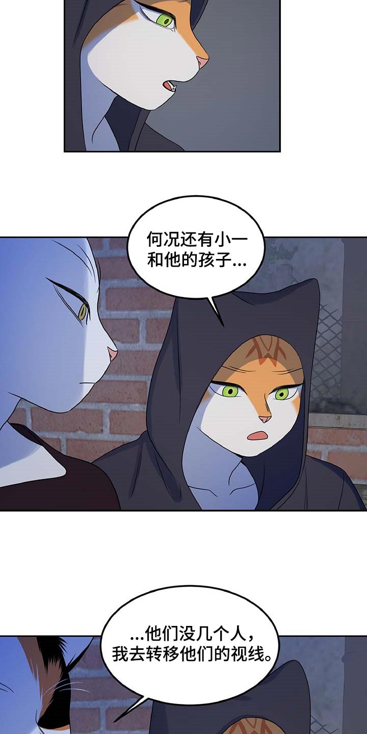 《灵猫欧米伽》漫画最新章节第37章：我很强的免费下拉式在线观看章节第【9】张图片