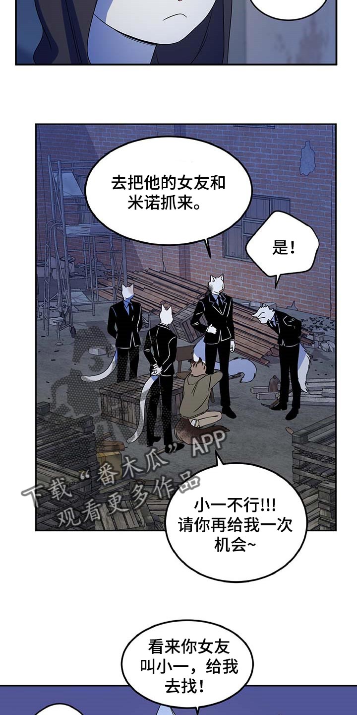 《灵猫欧米伽》漫画最新章节第37章：我很强的免费下拉式在线观看章节第【17】张图片