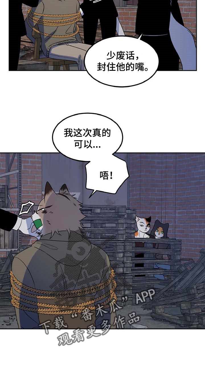 《灵猫欧米伽》漫画最新章节第37章：我很强的免费下拉式在线观看章节第【12】张图片