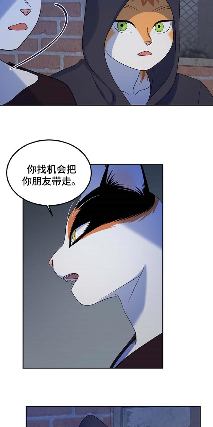 《灵猫欧米伽》漫画最新章节第37章：我很强的免费下拉式在线观看章节第【8】张图片