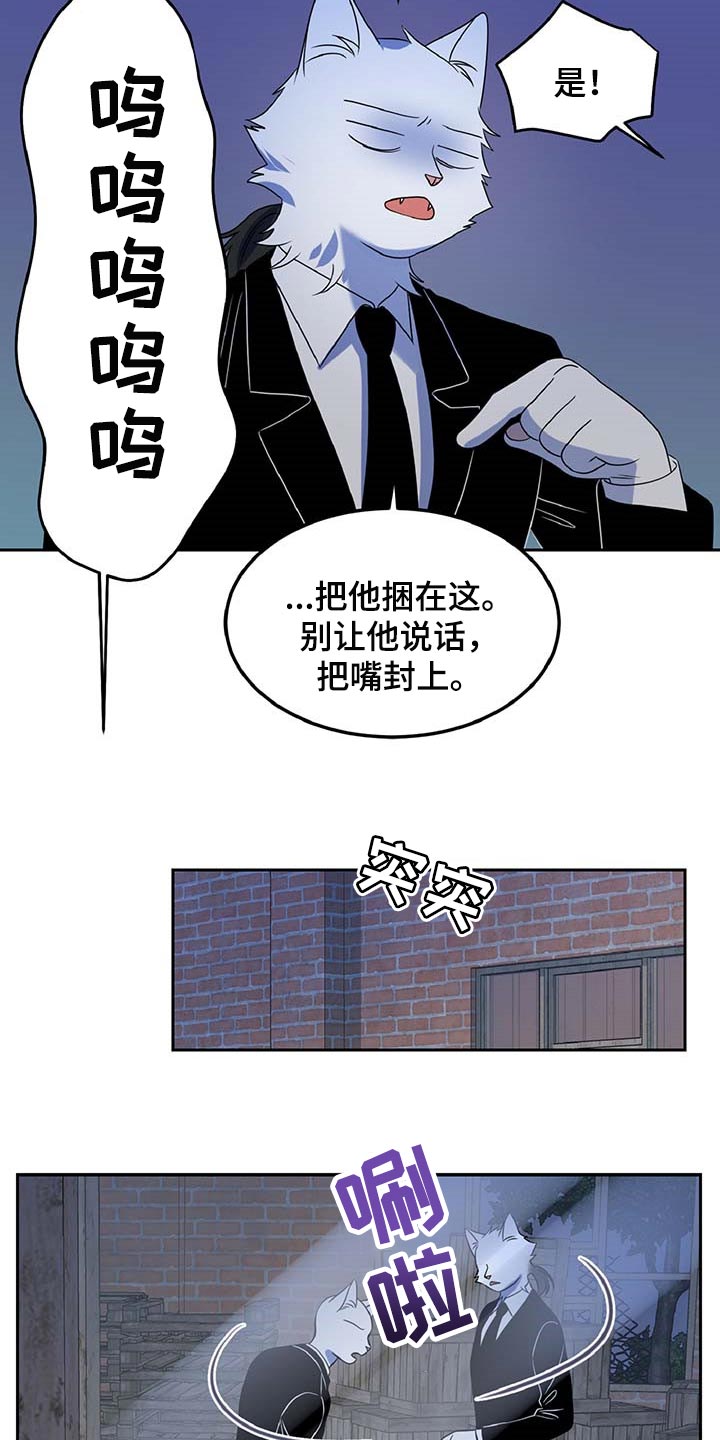 《灵猫欧米伽》漫画最新章节第37章：我很强的免费下拉式在线观看章节第【16】张图片