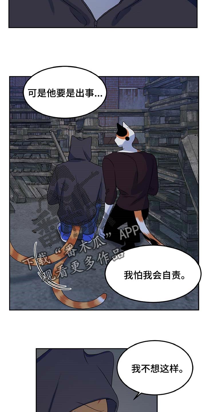 《灵猫欧米伽》漫画最新章节第37章：我很强的免费下拉式在线观看章节第【10】张图片