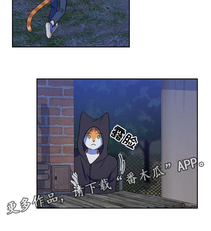 《灵猫欧米伽》漫画最新章节第38章：罪有应得免费下拉式在线观看章节第【1】张图片