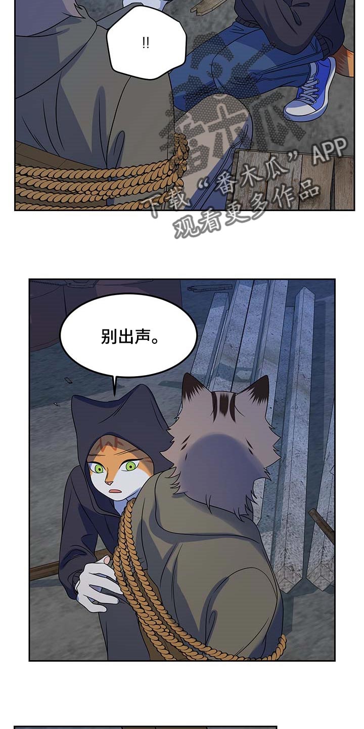 《灵猫欧米伽》漫画最新章节第38章：罪有应得免费下拉式在线观看章节第【18】张图片