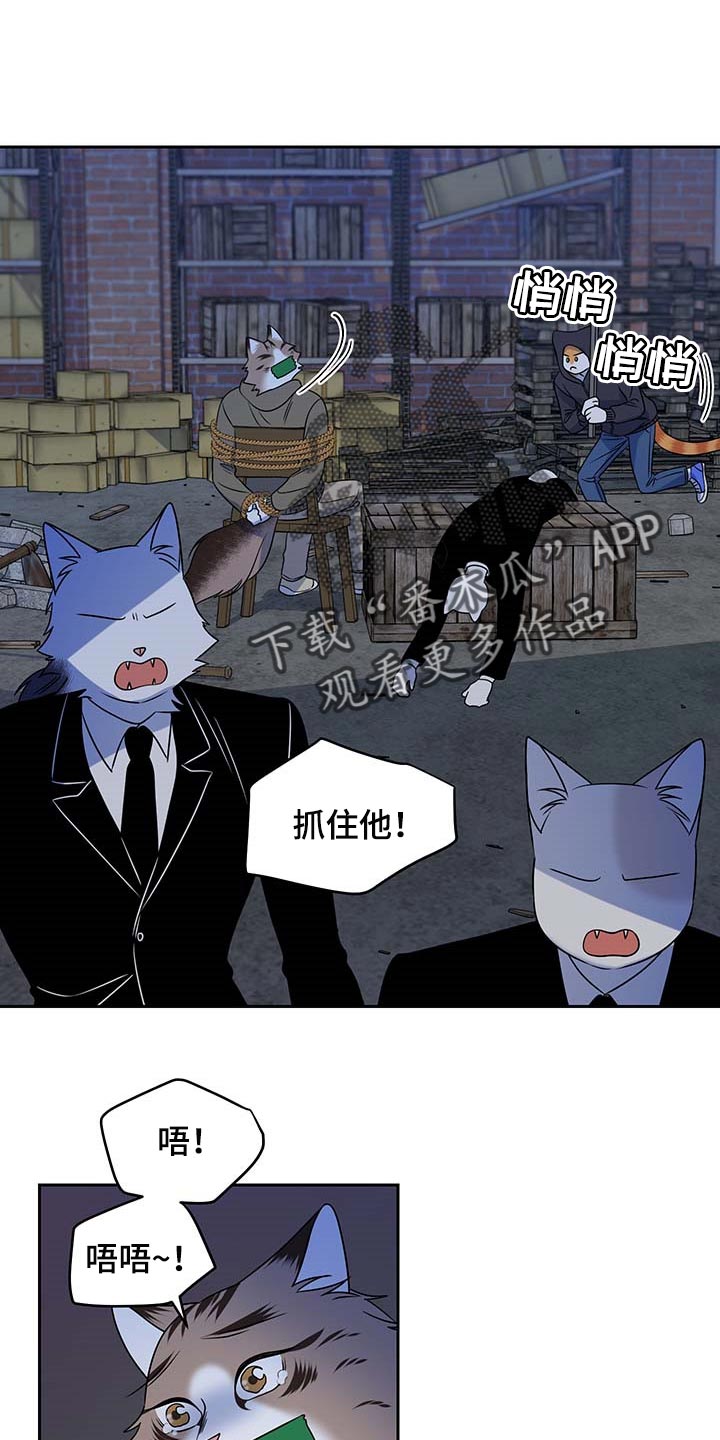 《灵猫欧米伽》漫画最新章节第38章：罪有应得免费下拉式在线观看章节第【20】张图片