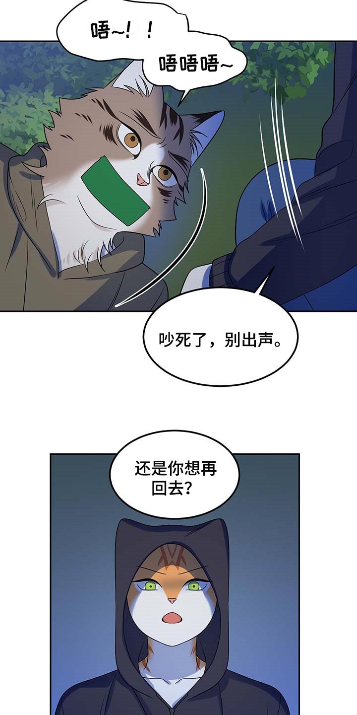 《灵猫欧米伽》漫画最新章节第38章：罪有应得免费下拉式在线观看章节第【5】张图片