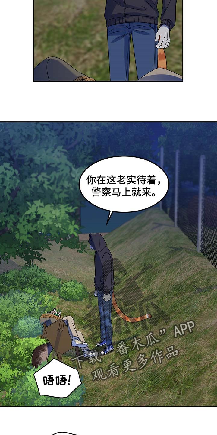 《灵猫欧米伽》漫画最新章节第38章：罪有应得免费下拉式在线观看章节第【6】张图片