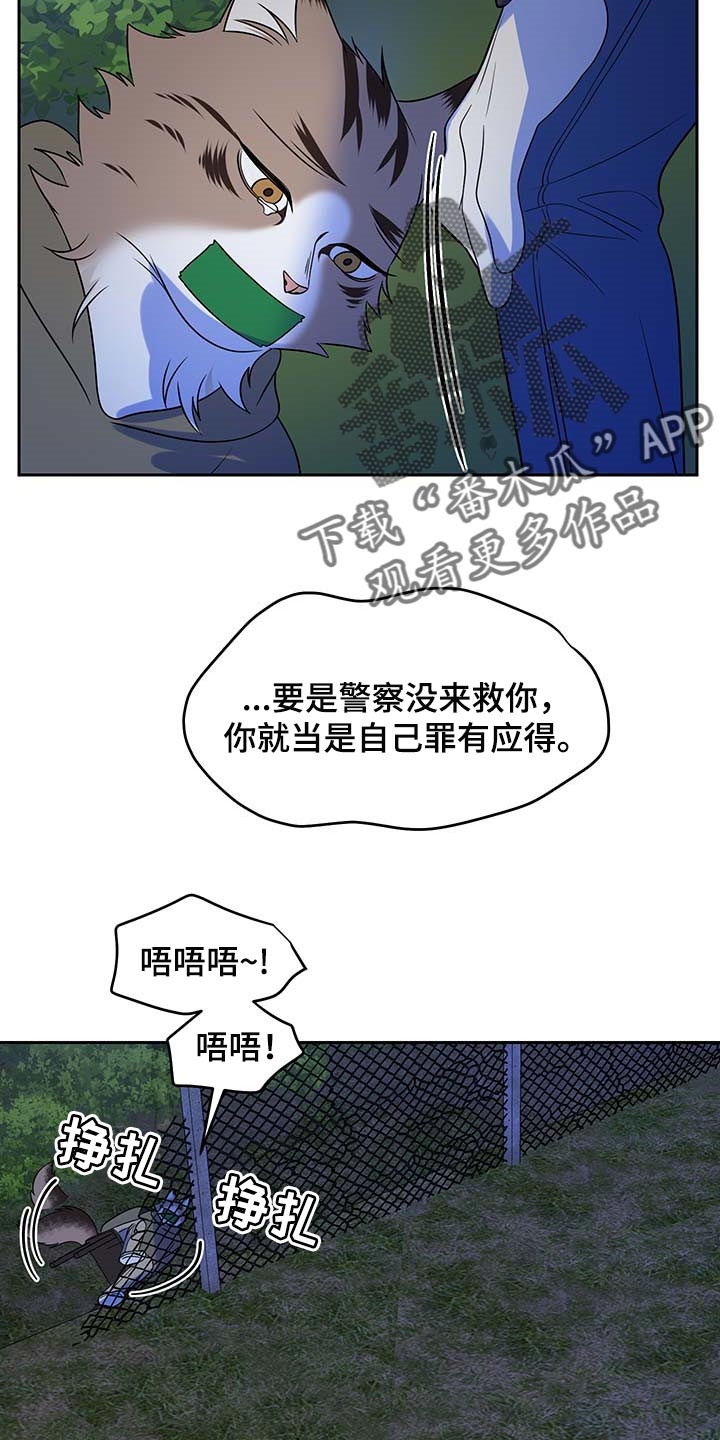 《灵猫欧米伽》漫画最新章节第38章：罪有应得免费下拉式在线观看章节第【3】张图片