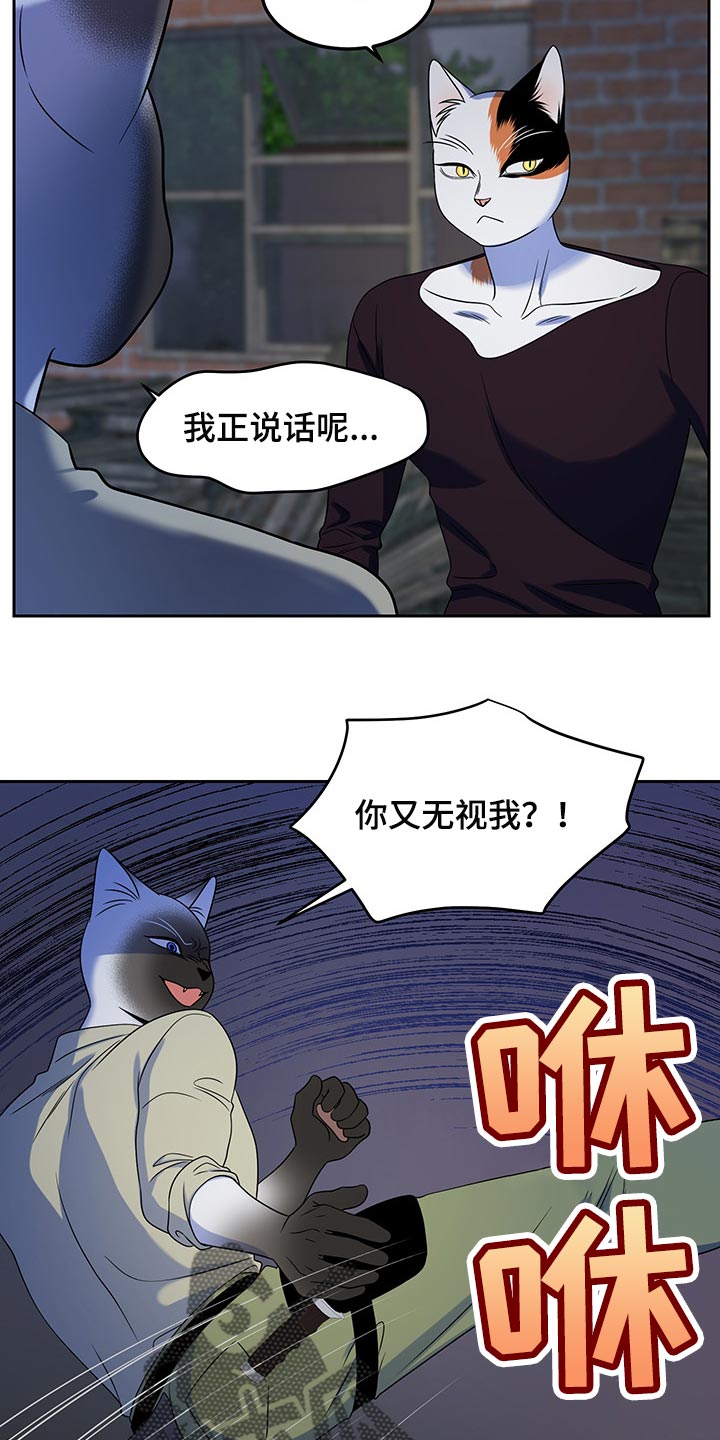 《灵猫欧米伽》漫画最新章节第39章：撤离免费下拉式在线观看章节第【11】张图片