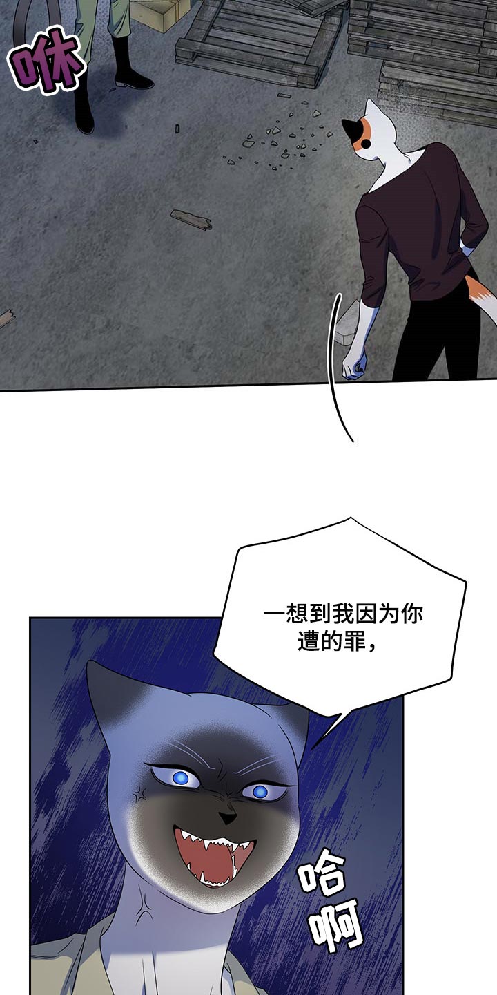 《灵猫欧米伽》漫画最新章节第39章：撤离免费下拉式在线观看章节第【14】张图片