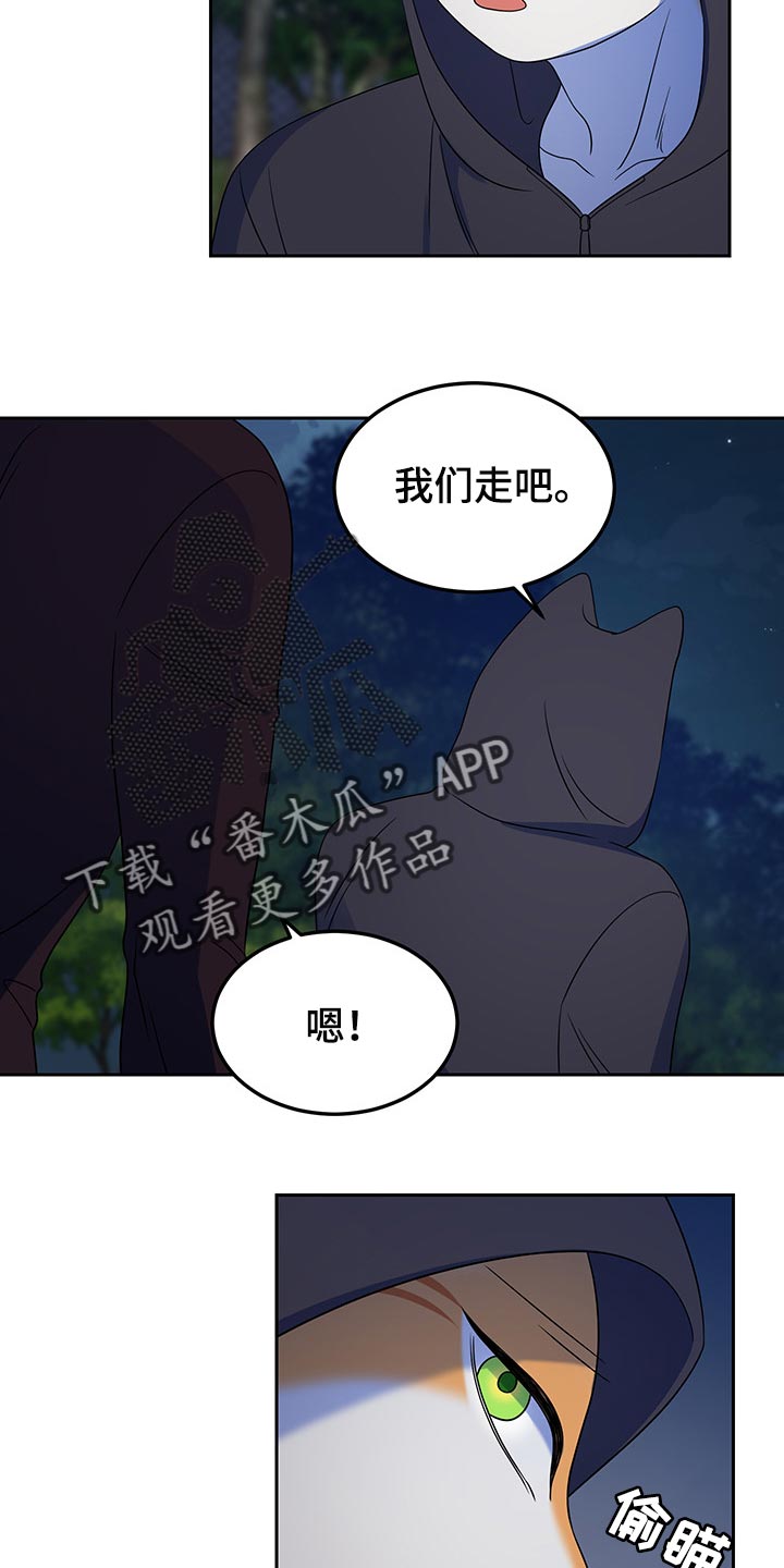 《灵猫欧米伽》漫画最新章节第39章：撤离免费下拉式在线观看章节第【2】张图片