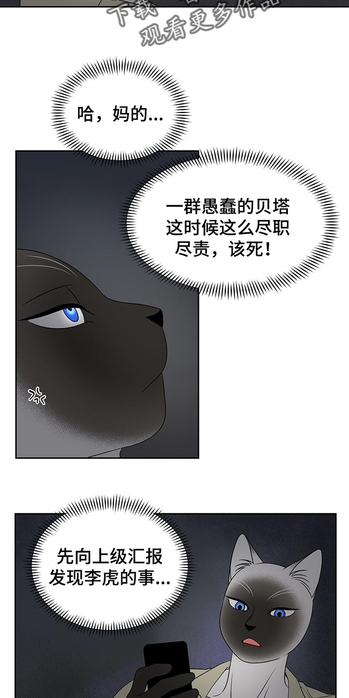 《灵猫欧米伽》漫画最新章节第40章：平凡的生活免费下拉式在线观看章节第【14】张图片