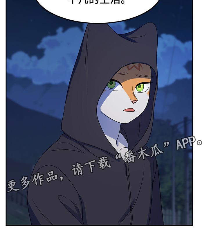 《灵猫欧米伽》漫画最新章节第40章：平凡的生活免费下拉式在线观看章节第【1】张图片